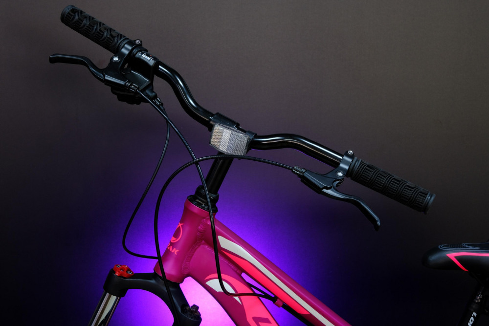 Lorak Race 24 Матовый Фиолетовый/Белый